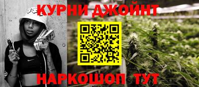 spice Гай