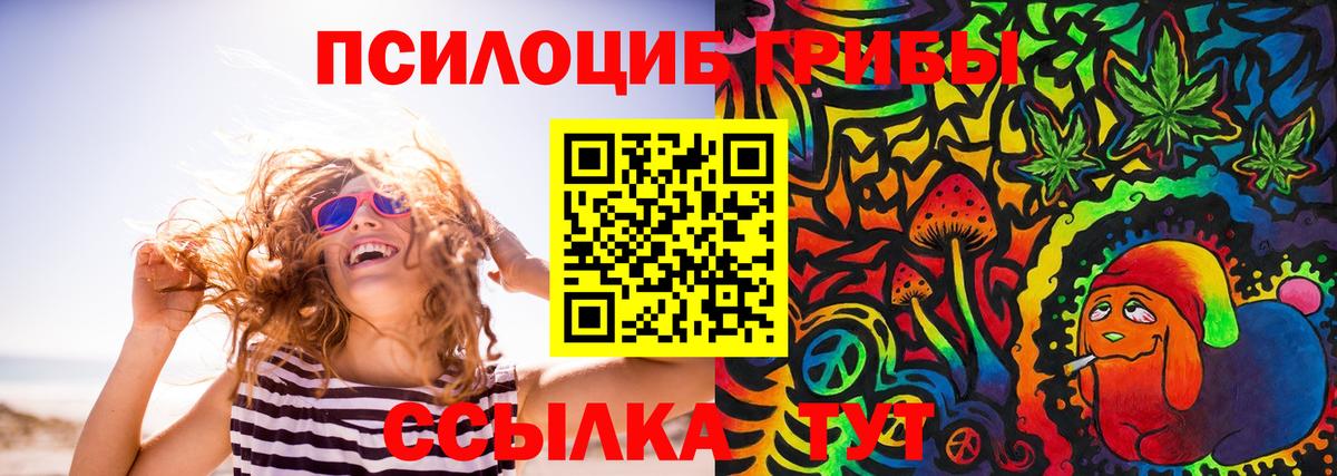 Галлюциногенные грибы ЛСД Губкин