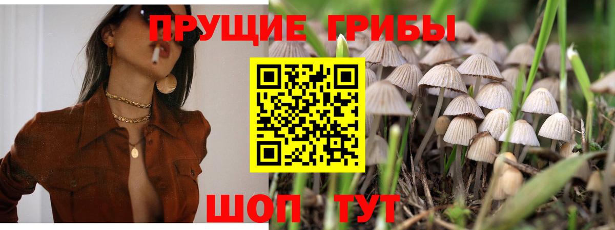 Псилоцибиновые грибы ЛСД  Вход с VPN  Галлюциногенные грибы MAGIC MUSHROOMS  Губкин 